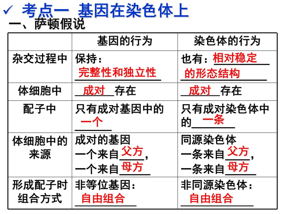 第19讲基因在染色体上伴性遗传一轮复习ppt课件