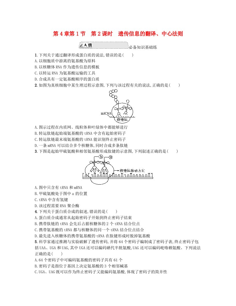 江苏专版2023_2024学年新教材高中生物第4章基因的表达第1节基因指导蛋白质的合成第2课时遗传信息的翻译中心法则分层作业新人教版必修2