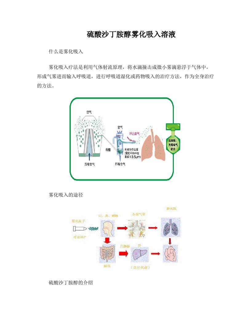 硫酸沙丁胺醇雾化溶液