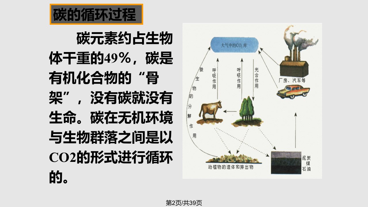 生态系的物质循环