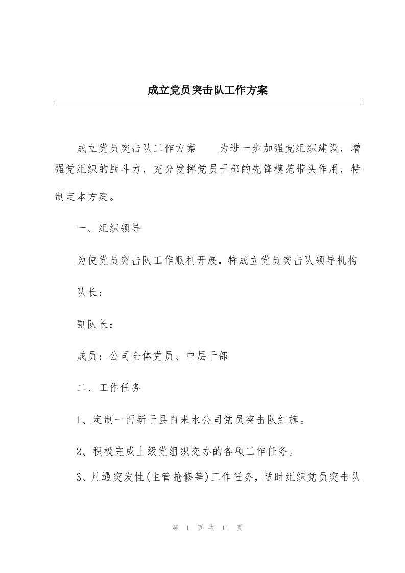 成立党员突击队工作方案