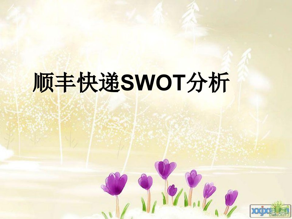 顺丰快递SWOT分析