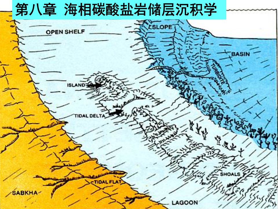 第八章碳酸盐岩储层沉积学特征PPT课件