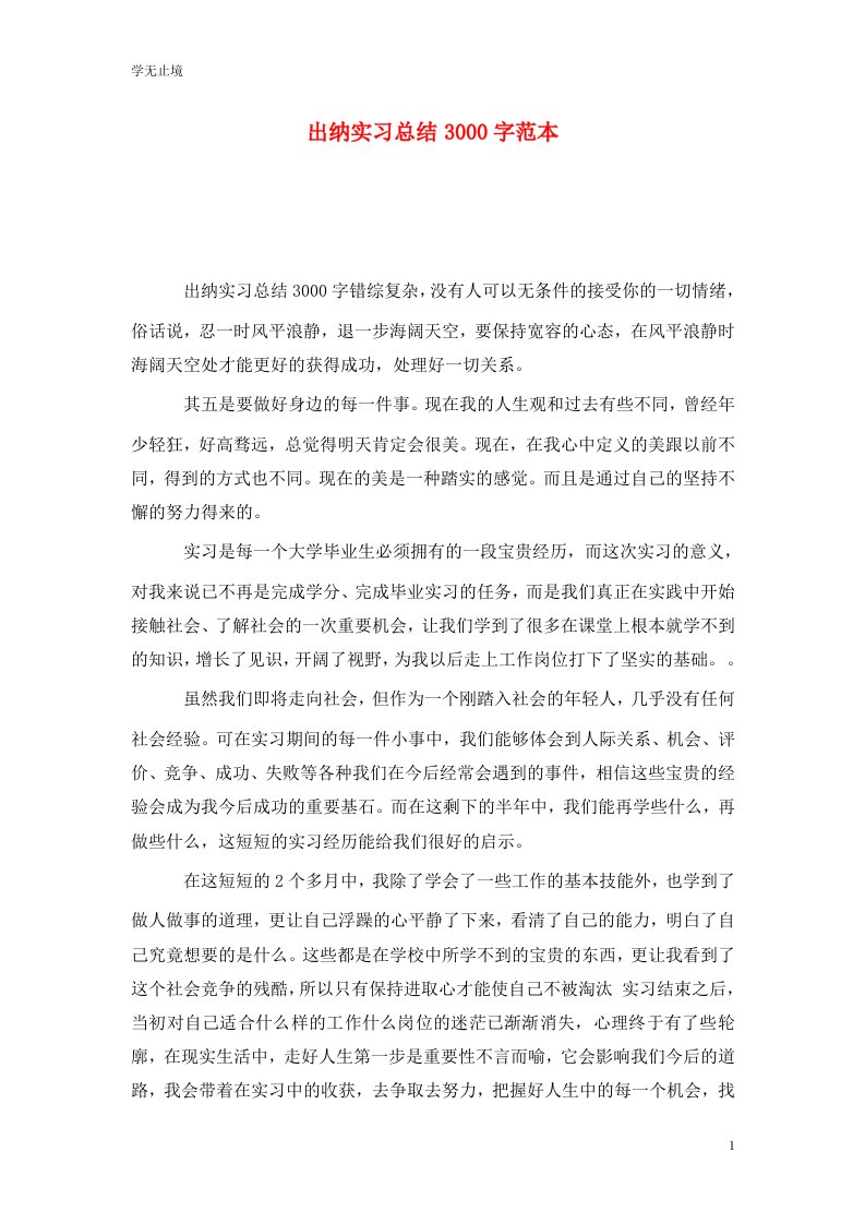 精编出纳实习总结3000字范本