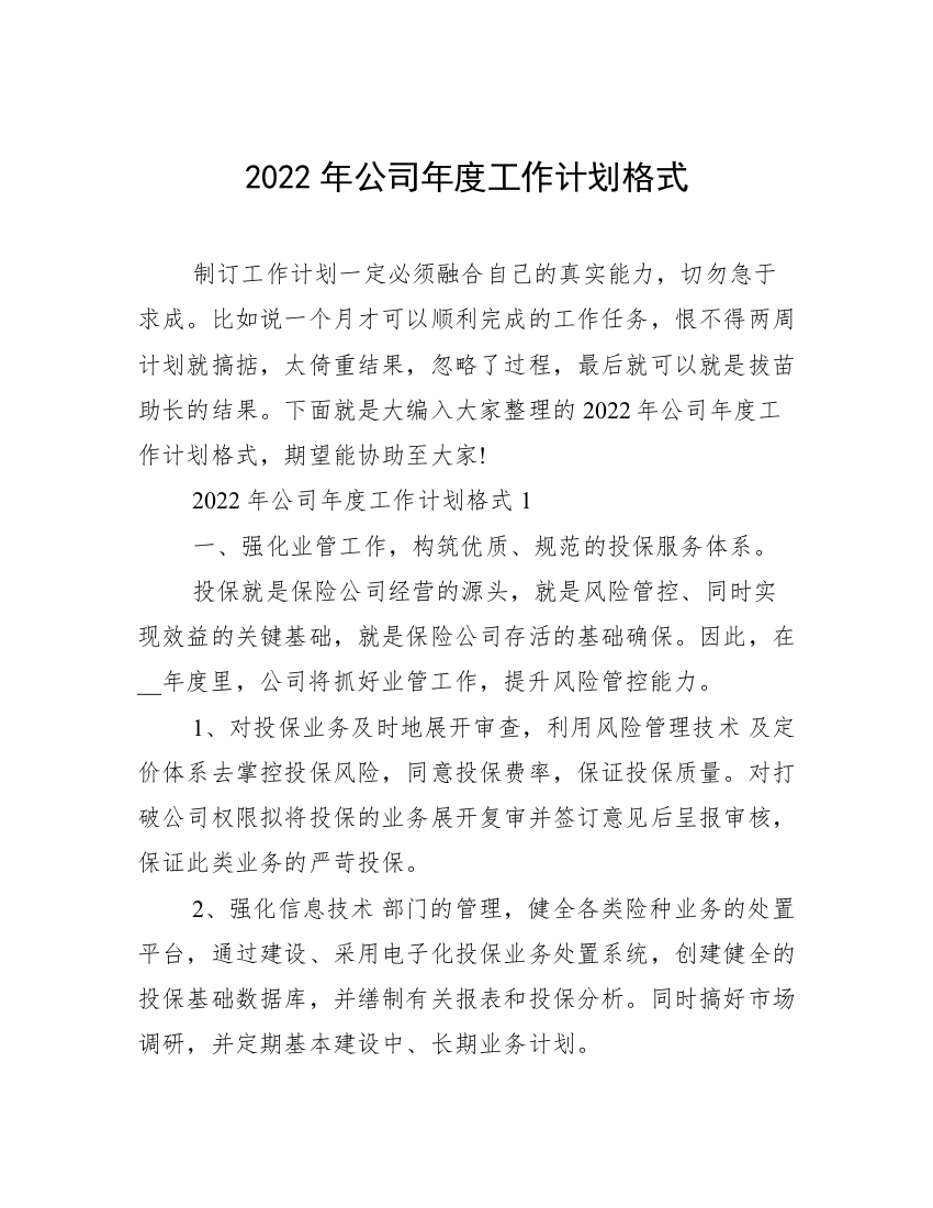 2022年公司年度工作计划格式