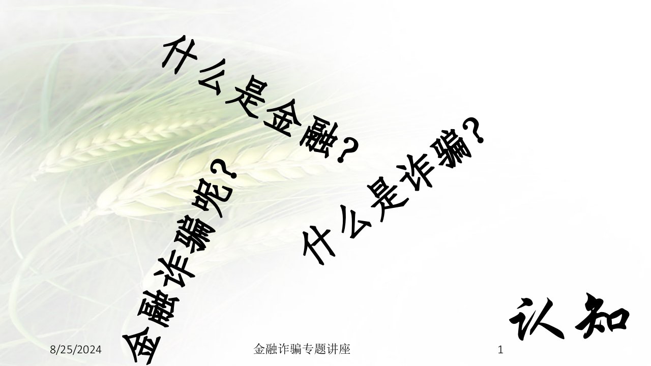 2021年度金融诈骗专题讲座讲义