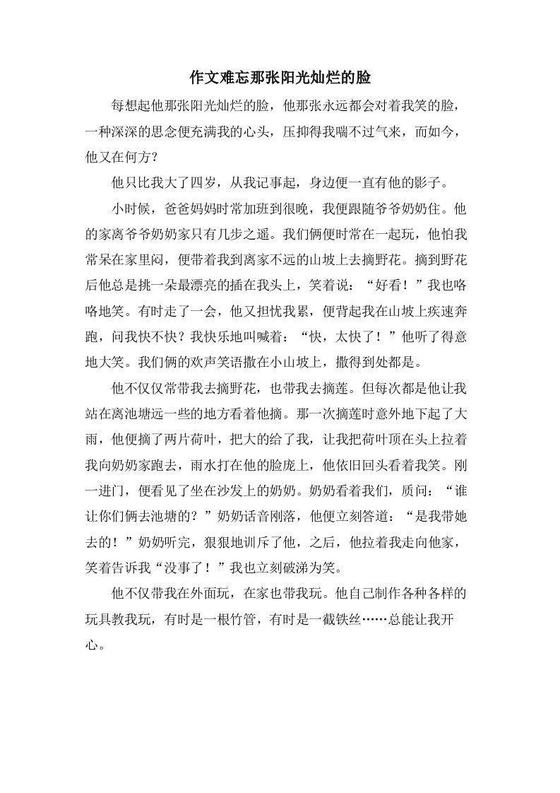 作文难忘那张阳光灿烂的脸