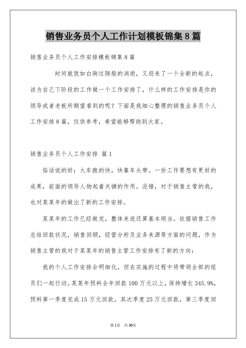 销售业务员个人工作计划模板锦集8篇