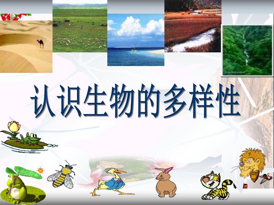 《认识生物的多样性》课件6