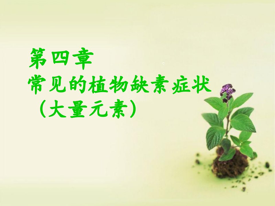 常见的植物缺素症状图谱