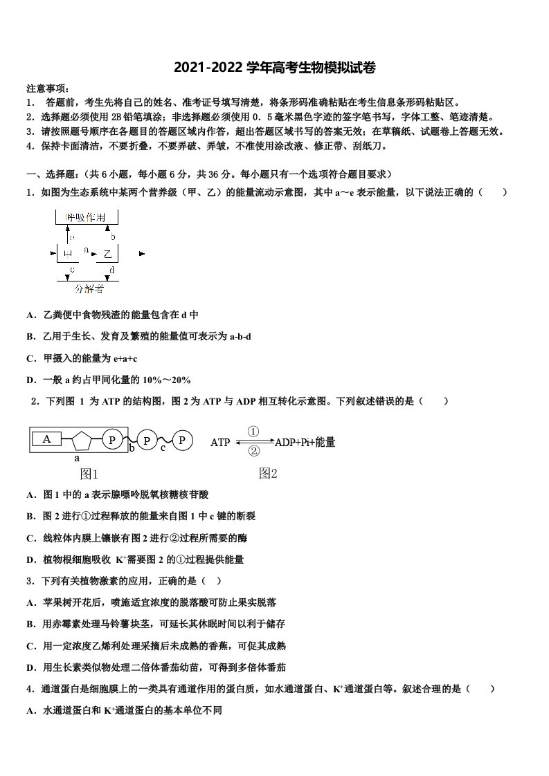 吉林省吉林地区普通高中友好学校联合体2022年高三下学期第五次调研考试生物试题含解析