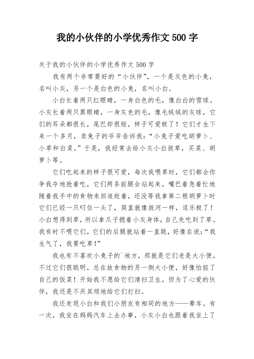 我的小伙伴的小学优秀作文500字