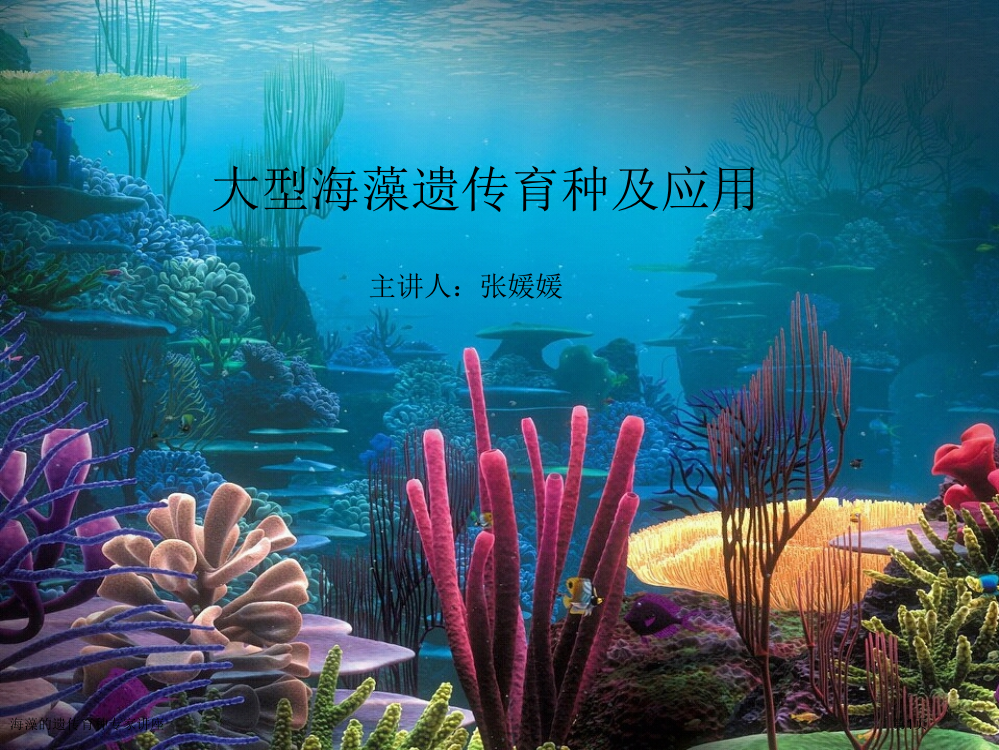 海藻的遗传育种专家讲座