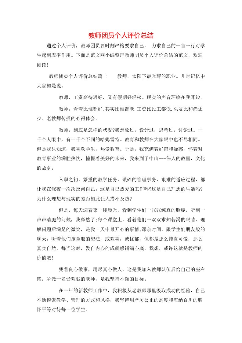 教师团员个人评价总结