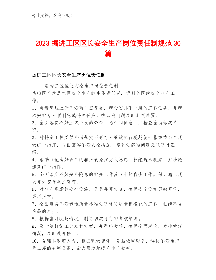 2023掘进工区区长安全生产岗位责任制规范30篇