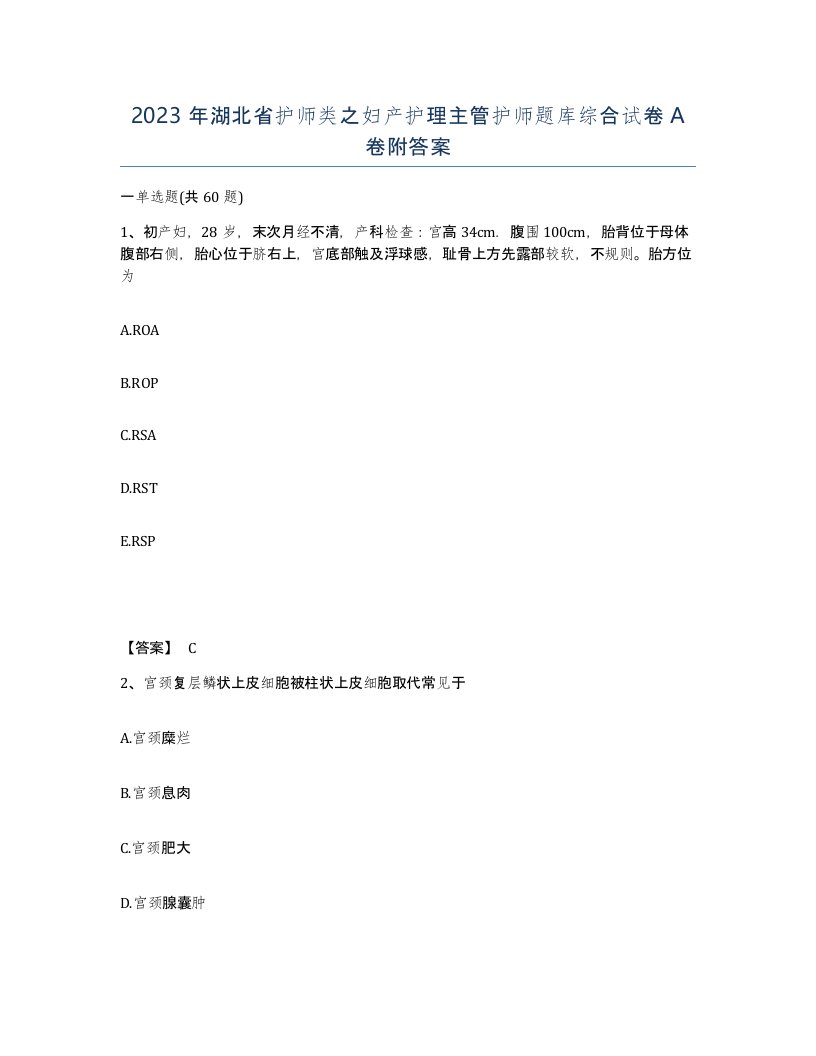 2023年湖北省护师类之妇产护理主管护师题库综合试卷A卷附答案