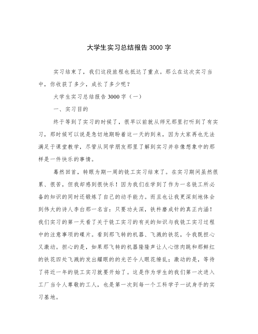 大学生实习总结报告3000字