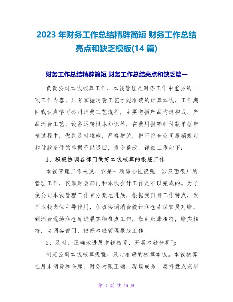 2023年财务工作总结精辟简短