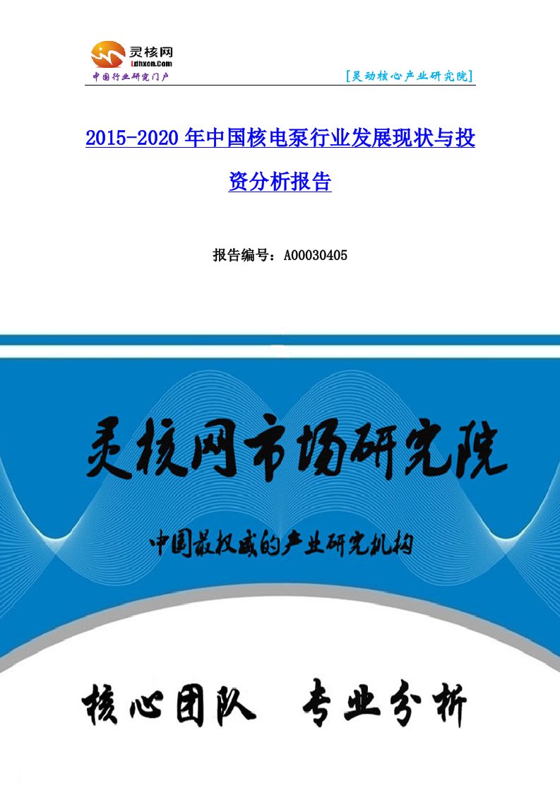 中国核电泵行业市场分析和发展趋势研究报告-灵核网