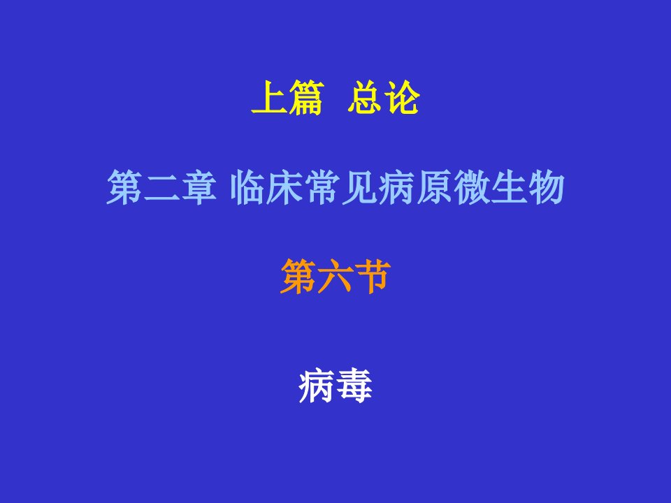 《病毒王爱霞》PPT课件