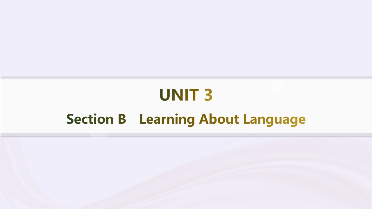 新教材2023_2024学年高中英语Unit3EnvironmentalProtectionSectionBLearningAboutLanguage课件新人教版选择性必修第三册