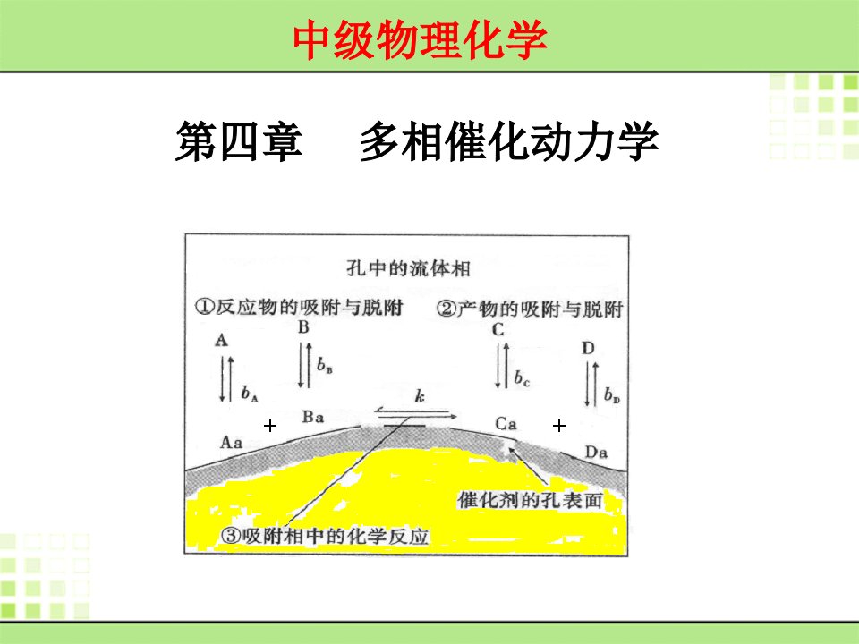 多相催化动力学