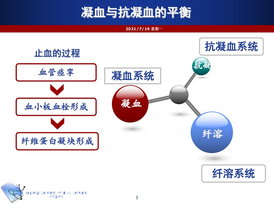 医学专题抗凝凝血纤溶