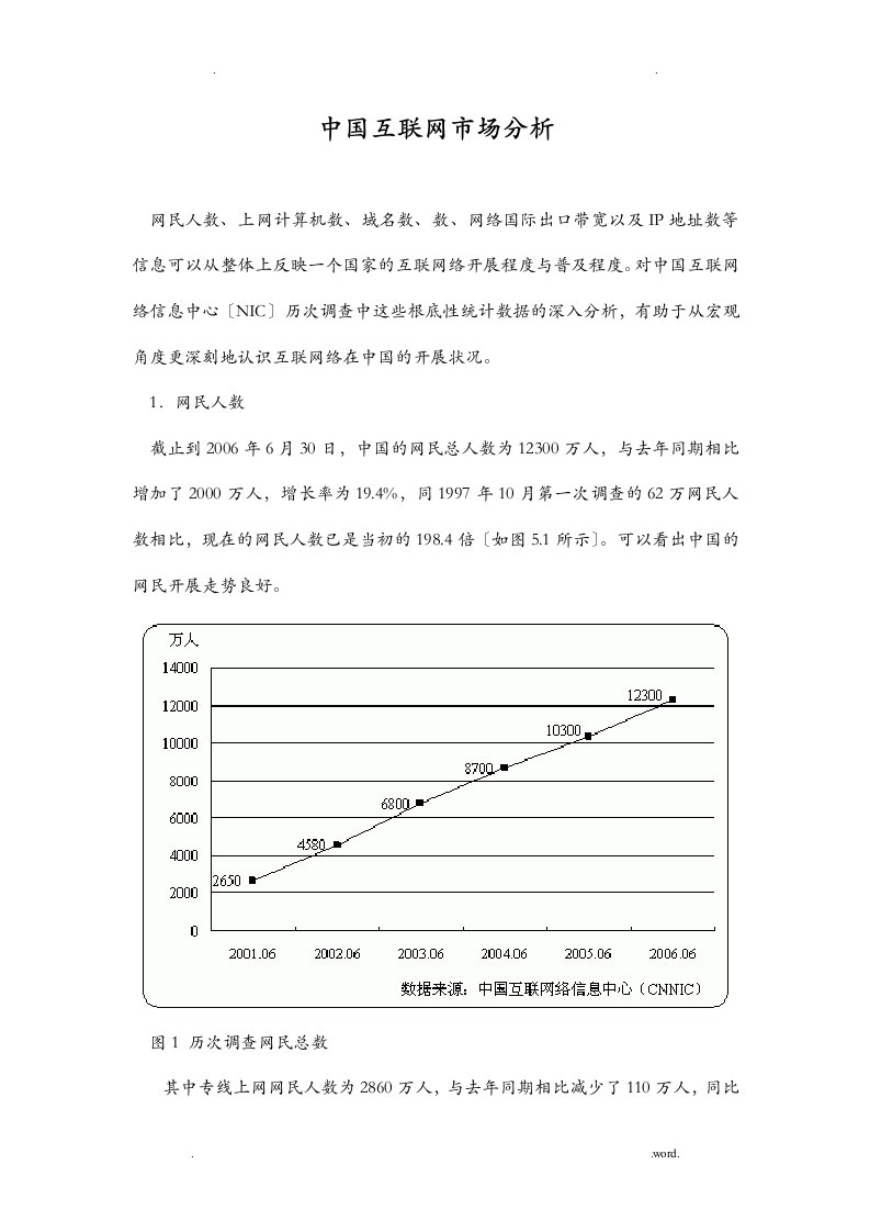 中国互联网市场分析报告