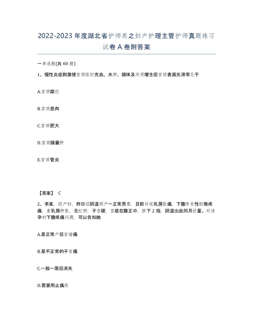 2022-2023年度湖北省护师类之妇产护理主管护师真题练习试卷A卷附答案