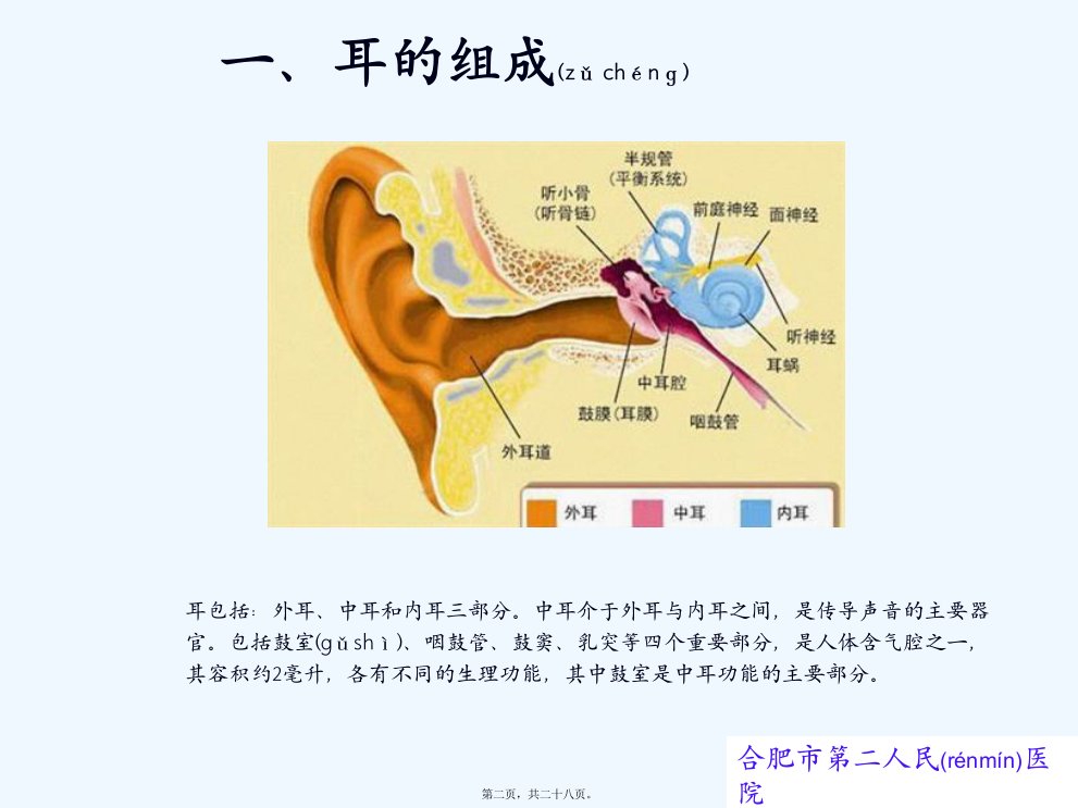 医学专题慢性化脓性中耳炎