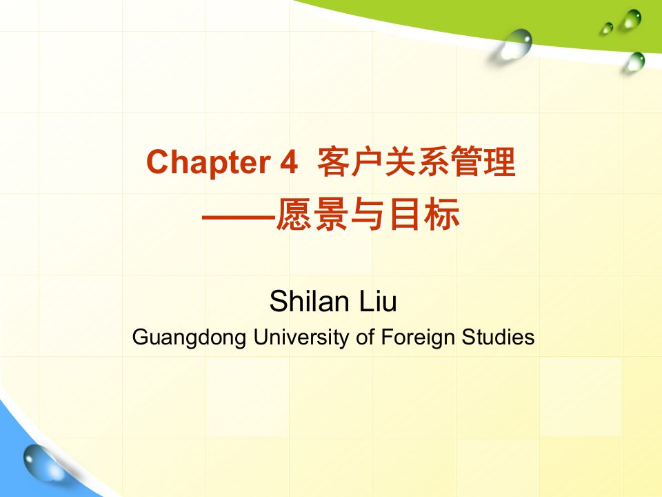 chapter4客户关系管理愿景与目标