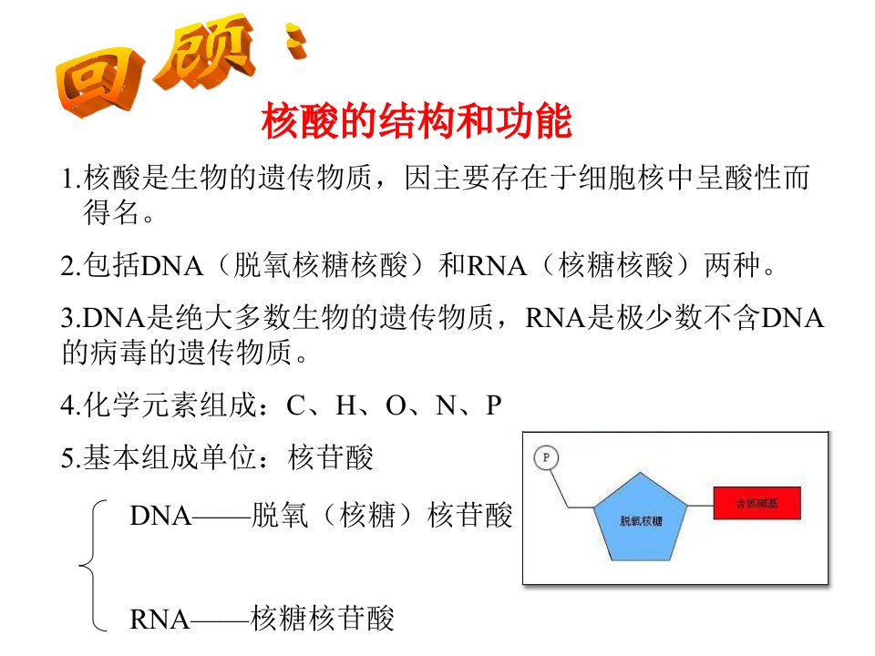 一轮复习DNA分子的结构与复课件