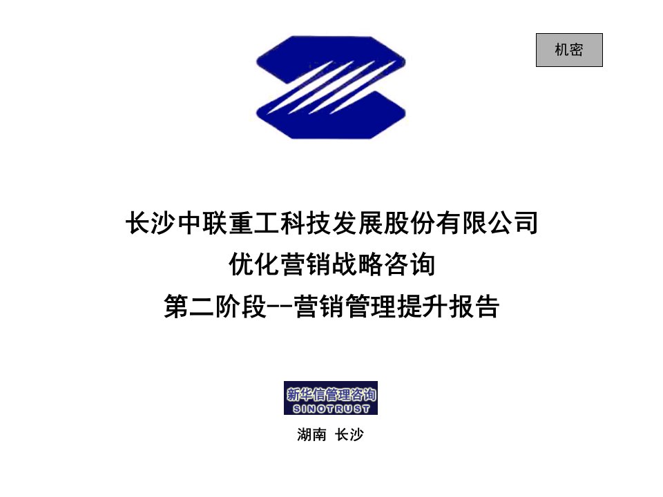 长沙中联重工科技发展股份有限公司营销管理提升报告