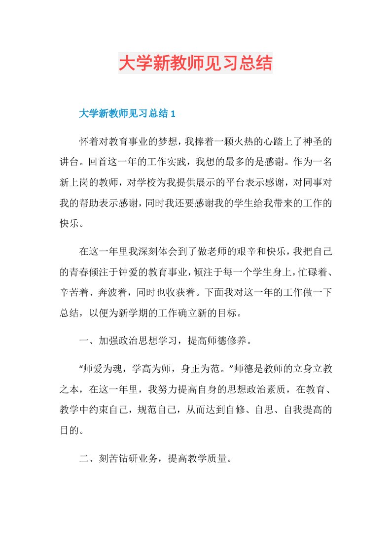 大学新教师见习总结