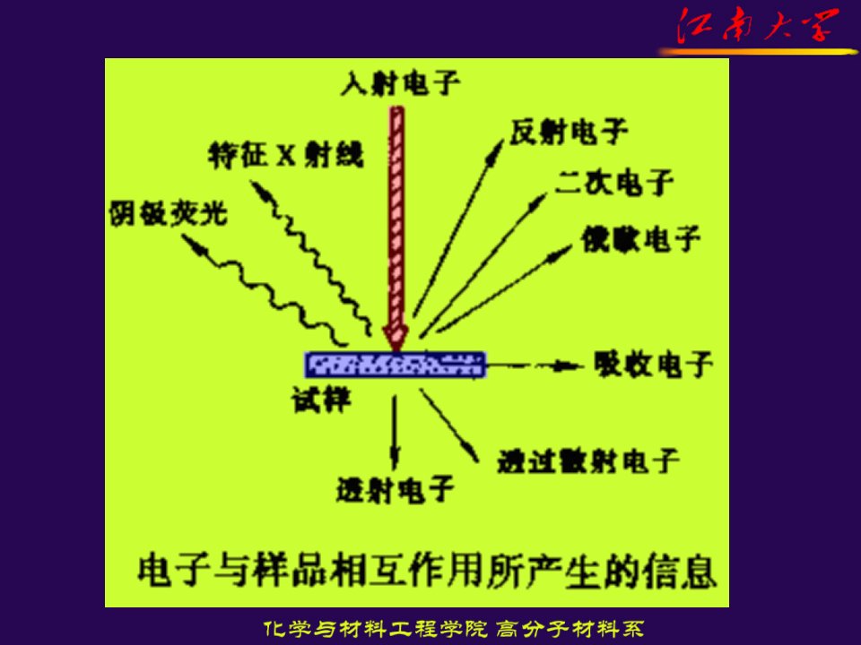 江南大学电镜精品课件