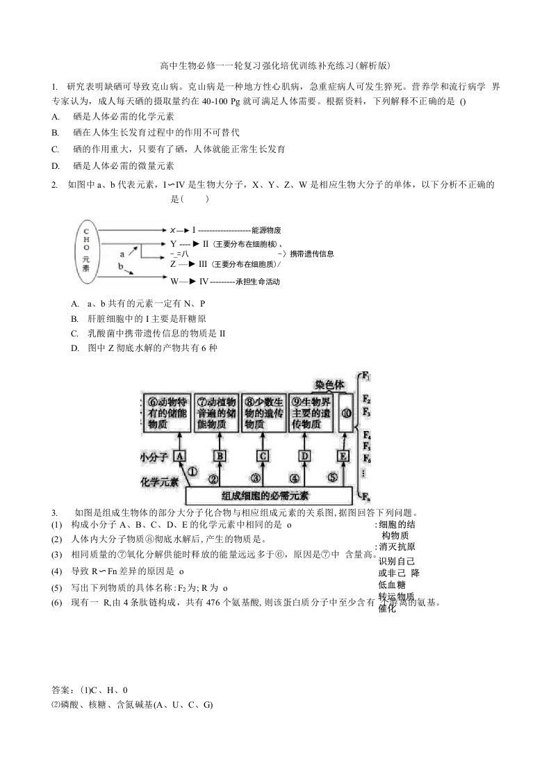 高中生物必修一一轮复习强化培优训练补充练习题（解析版）