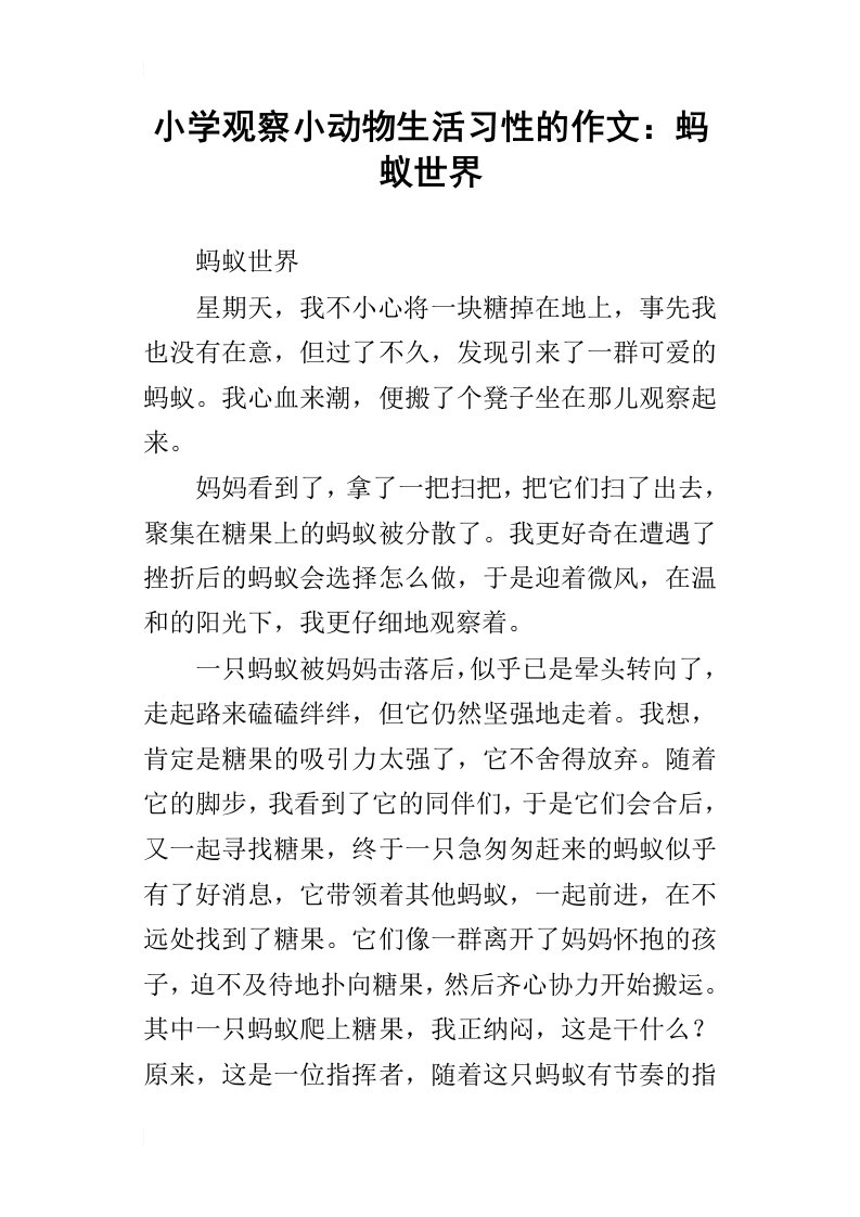 小学观察小动物生活习性的作文：蚂蚁世界