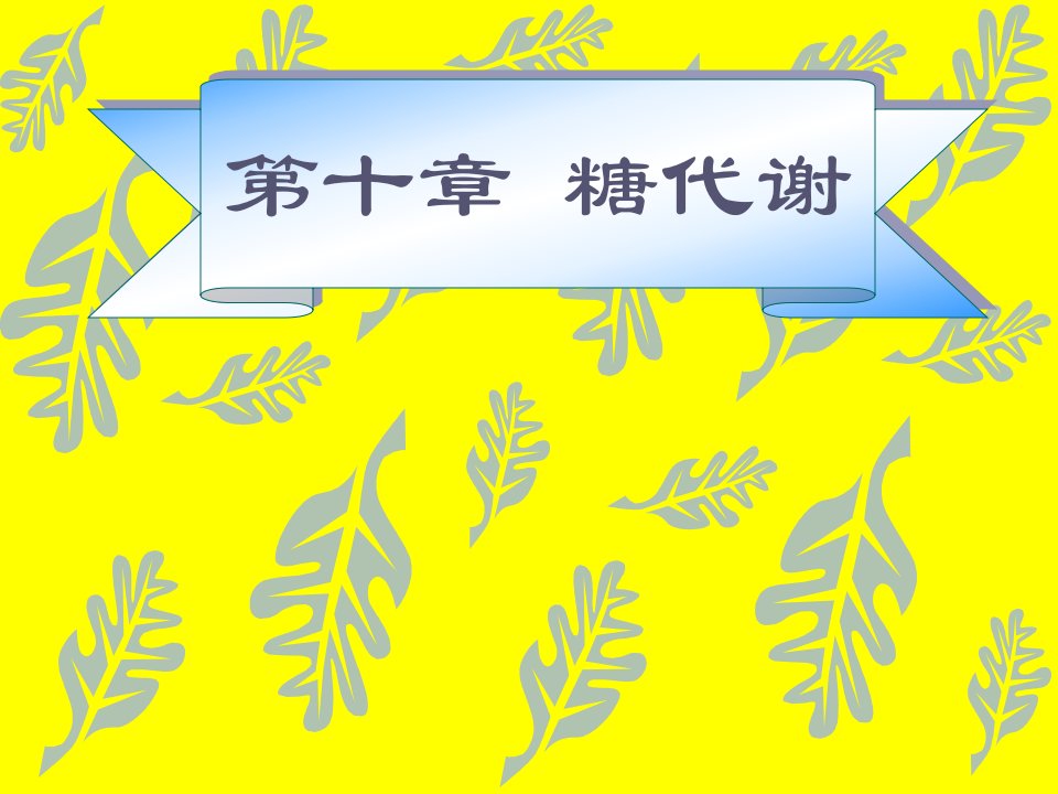 糖代谢包括分解代谢和合成代谢