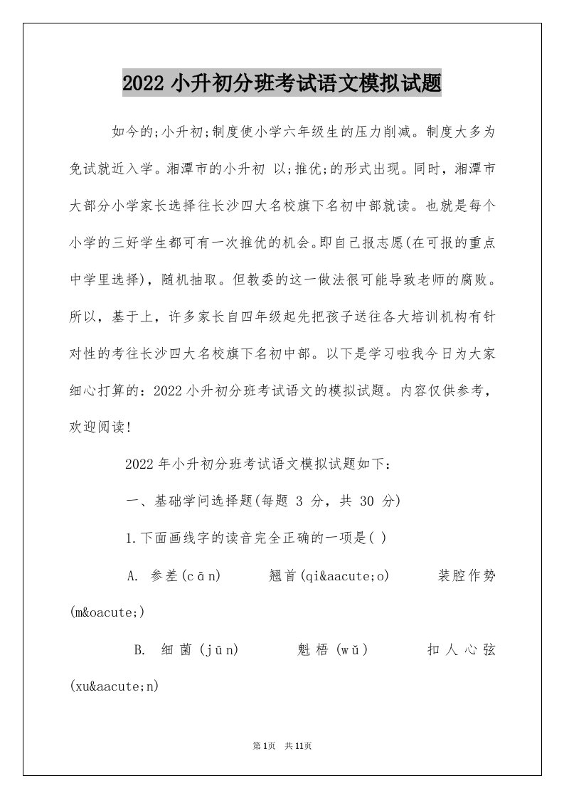 2022小升初分班考试语文模拟试题