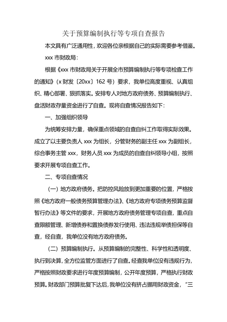 关于预算编制执行等专项自查报告