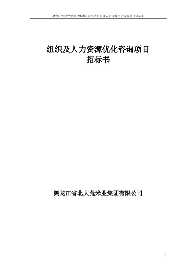 组织及人力资源优化咨询项目