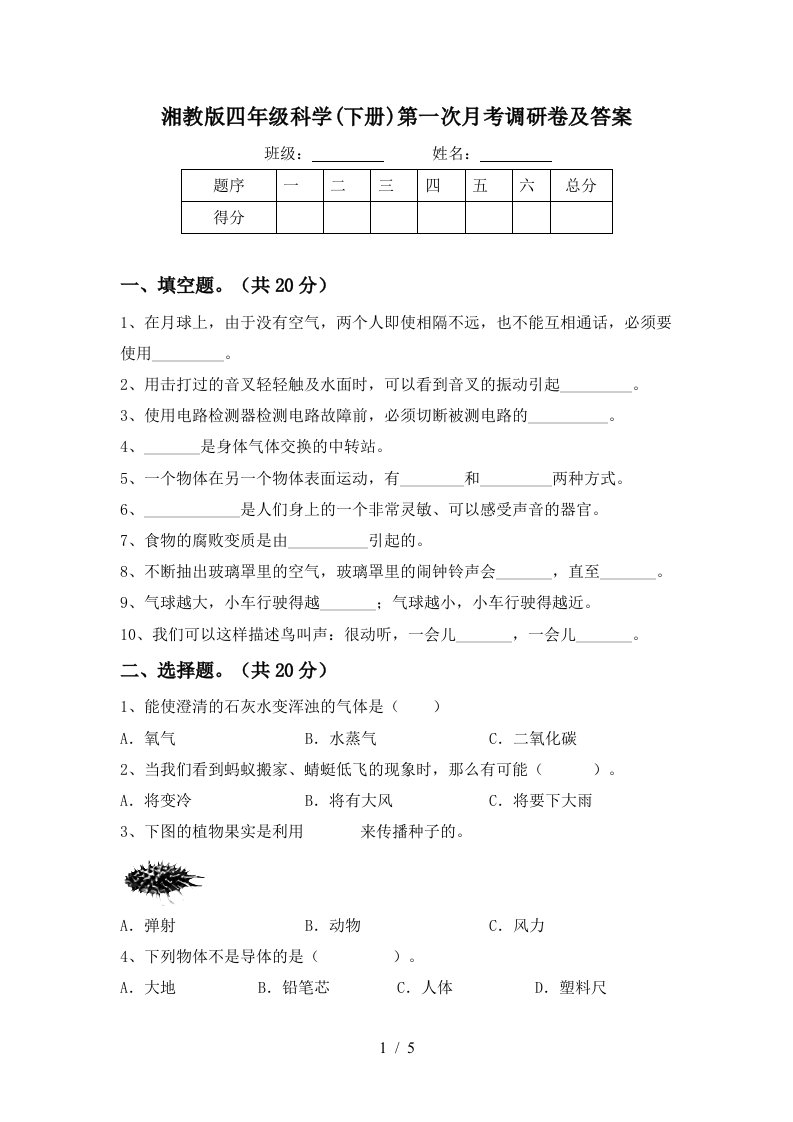 湘教版四年级科学下册第一次月考调研卷及答案