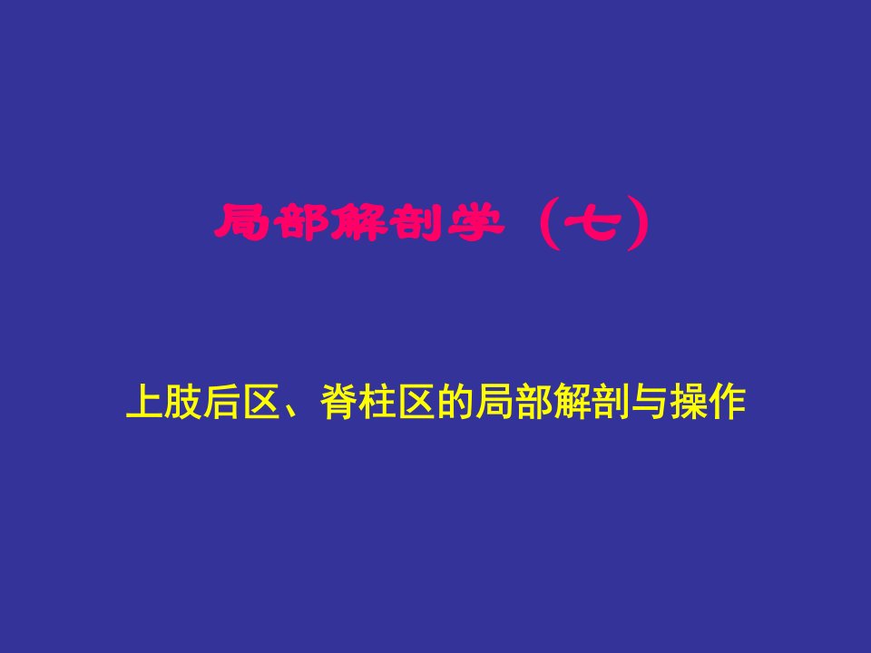 上肢后区、脊柱区的局部解剖与操作-人体局解剖学-课件-07