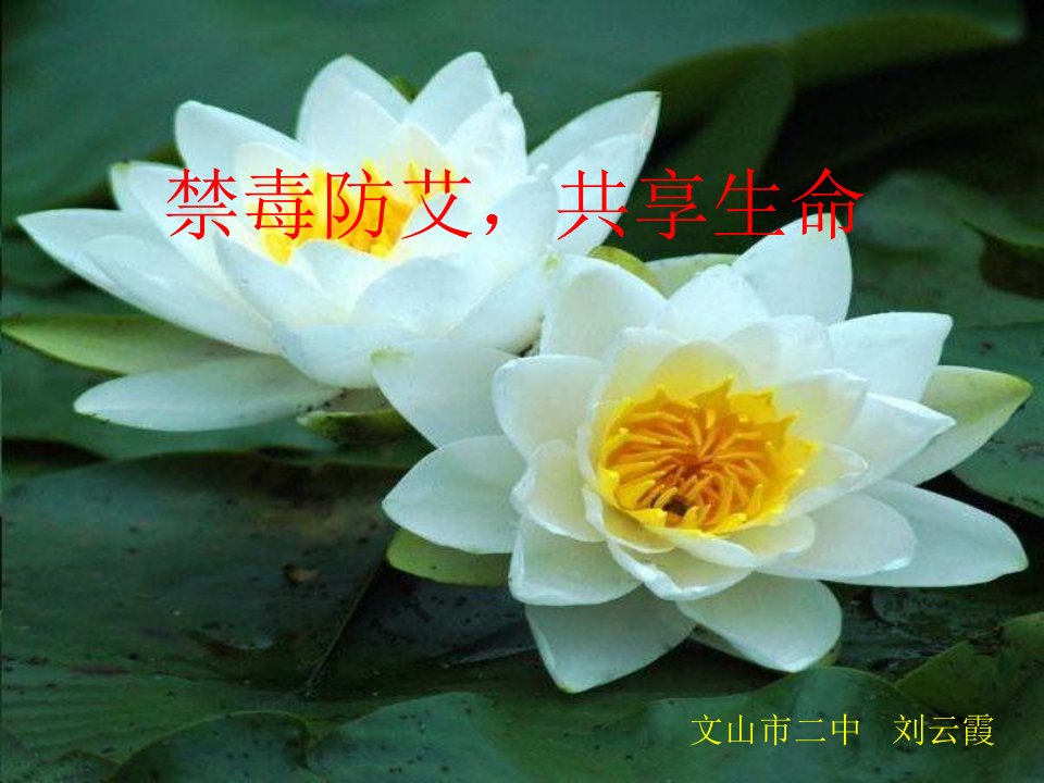 《禁毒防艾》