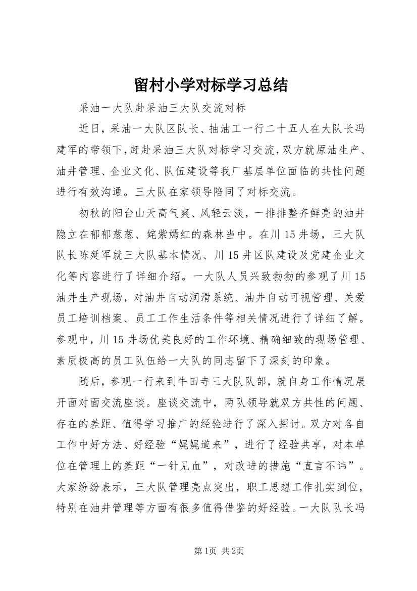 留村小学对标学习总结