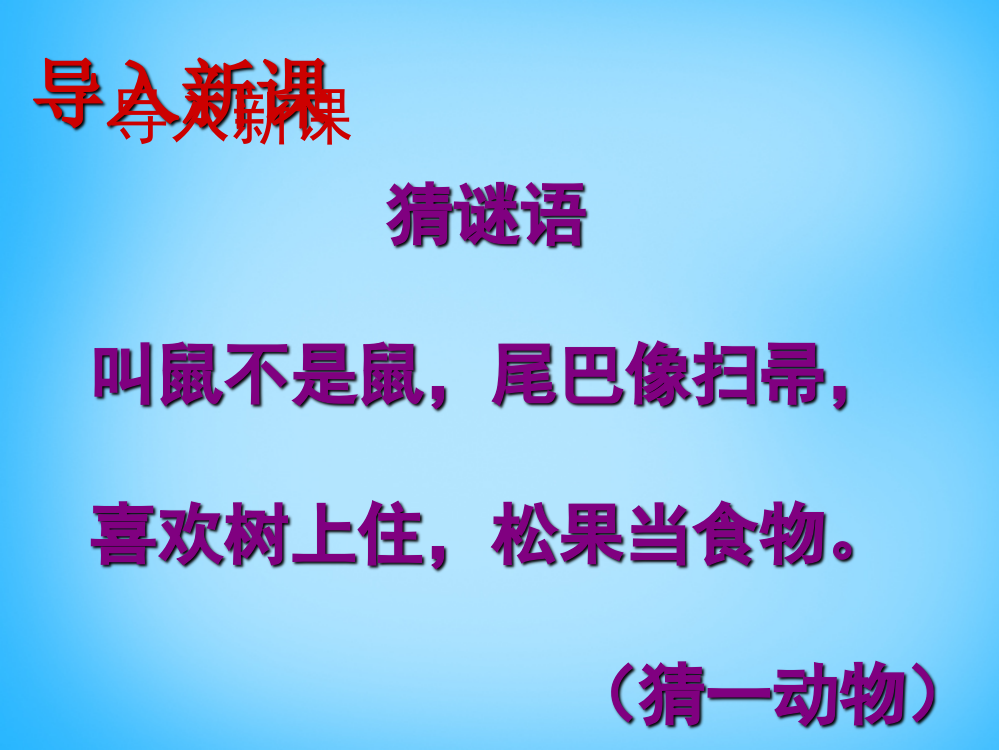 公开课教案教学设计课件苏教初中语文七下《松鼠》PPT课件-(九)