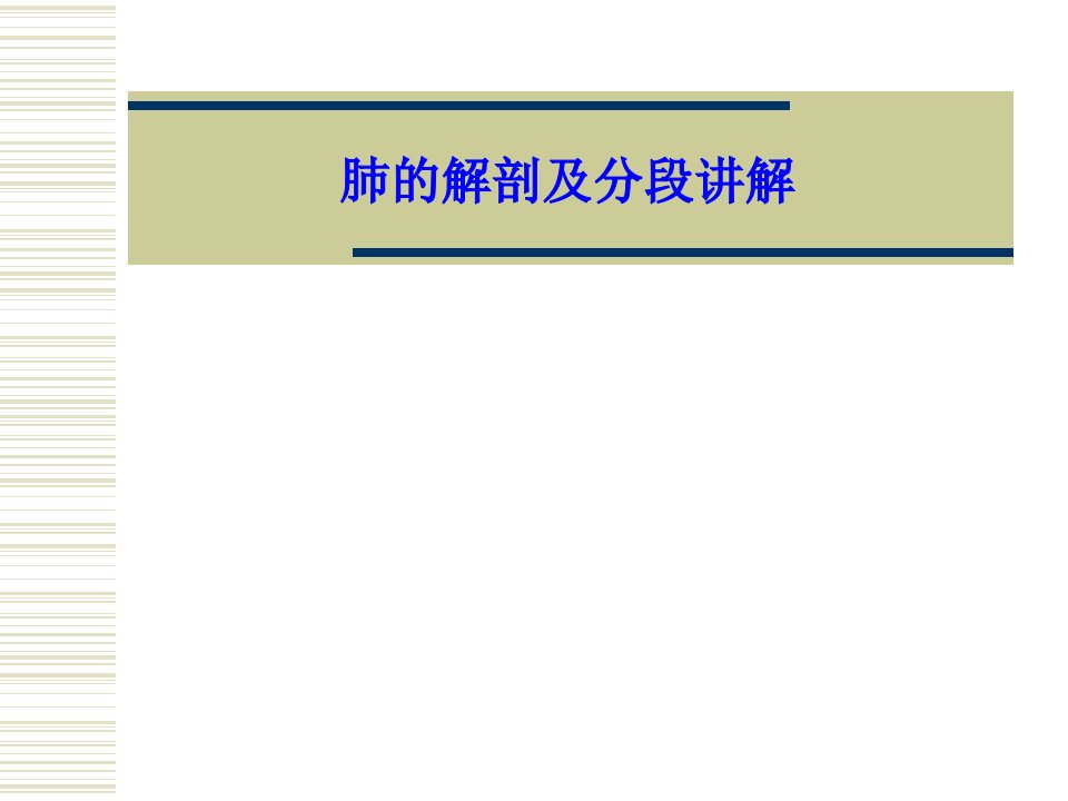 肺的解剖及分段讲解PPT课件