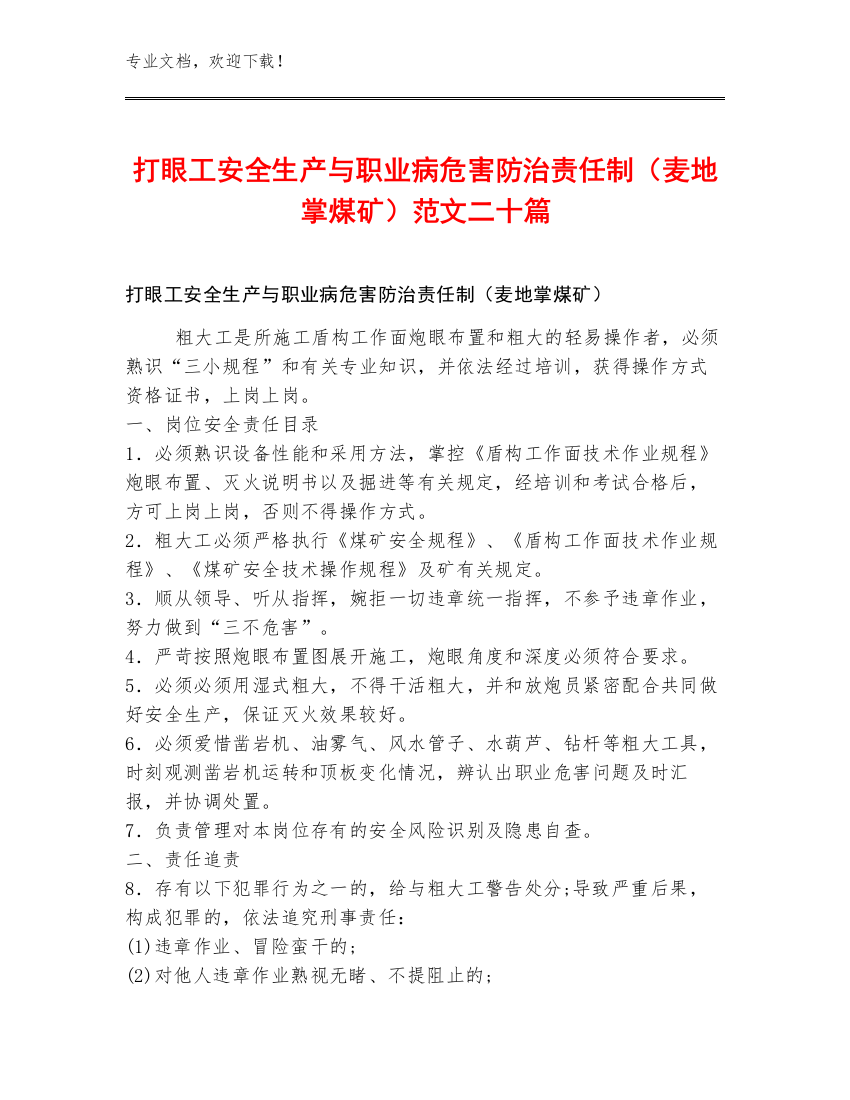 打眼工安全生产与职业病危害防治责任制（麦地掌煤矿）范文二十篇