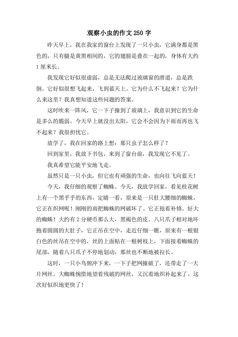 观察小虫的作文250字