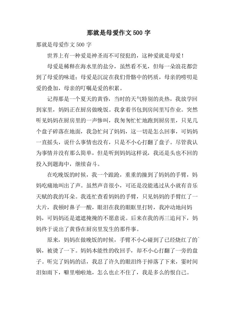 那就是母爱作文500字